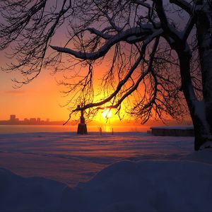 Preview wallpaper sun, light, sunset, trees, snow, winter