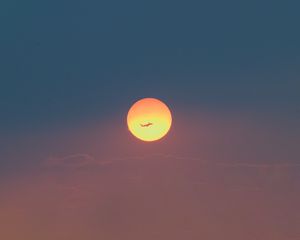 Preview wallpaper sun, plane, silhouette, sky