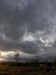 Preview wallpaper sun rays, dawn, field, trees, clouds