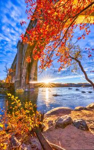 Preview wallpaper sun, rays, river, trees, bridge, landscape