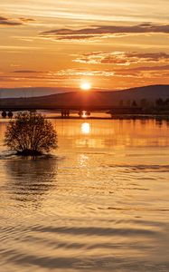 Preview wallpaper sun, rays, sunset, water, bridge