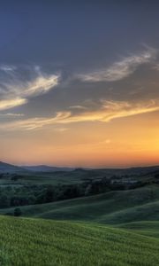 Preview wallpaper sun, rising, meadows, fields, greens, bridge, trees