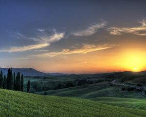 Preview wallpaper sun, rising, meadows, fields, greens, bridge, trees