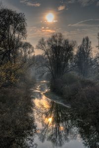 Preview wallpaper sun, river, trees, branches
