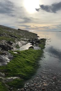 Preview wallpaper sun, slope, moss, shore, stones
