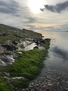 Preview wallpaper sun, slope, moss, shore, stones
