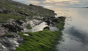 Preview wallpaper sun, slope, moss, shore, stones