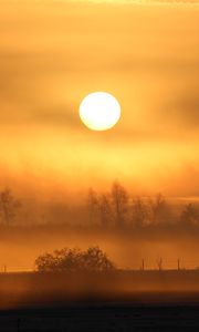 Preview wallpaper sun, sunset, fog, trees, nature, landscape