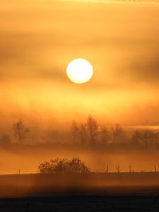 Preview wallpaper sun, sunset, fog, trees, nature, landscape