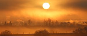 Preview wallpaper sun, sunset, fog, trees, nature, landscape