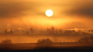 Preview wallpaper sun, sunset, fog, trees, nature, landscape