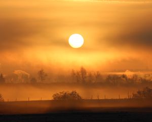 Preview wallpaper sun, sunset, fog, trees, nature, landscape