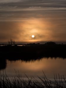 Preview wallpaper sun, sunset, grass, horizon