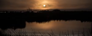 Preview wallpaper sun, sunset, grass, horizon