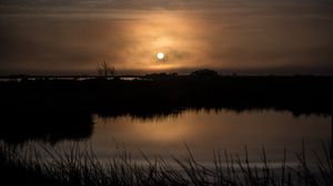 Preview wallpaper sun, sunset, grass, horizon