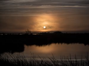 Preview wallpaper sun, sunset, grass, horizon