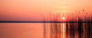 Preview wallpaper sun, sunset, reeds, lake, horizon