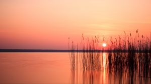 Preview wallpaper sun, sunset, reeds, lake, horizon