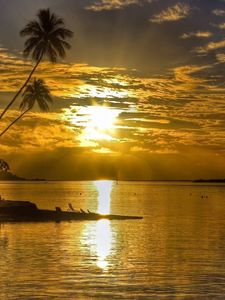 Preview wallpaper sun, sunset, reflections, palm, island, bungalow