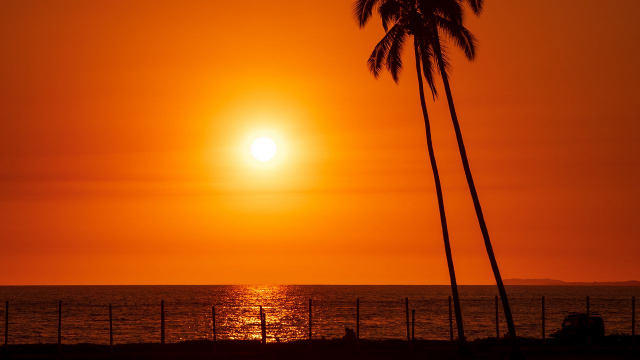 Wallpaper sun, sunset, sea, palm trees, landscape