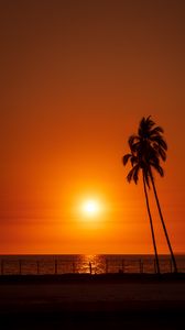 Preview wallpaper sun, sunset, sea, palm trees, landscape