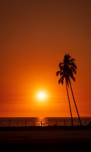 Preview wallpaper sun, sunset, sea, palm trees, landscape