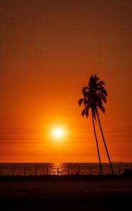 Preview wallpaper sun, sunset, sea, palm trees, landscape