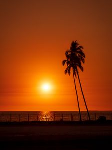 Preview wallpaper sun, sunset, sea, palm trees, landscape