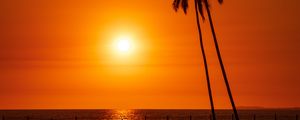 Preview wallpaper sun, sunset, sea, palm trees, landscape