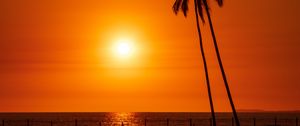 Preview wallpaper sun, sunset, sea, palm trees, landscape