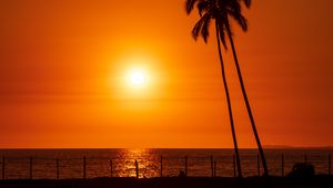 Preview wallpaper sun, sunset, sea, palm trees, landscape