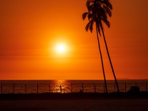 Preview wallpaper sun, sunset, sea, palm trees, landscape