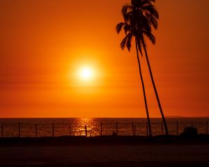 Preview wallpaper sun, sunset, sea, palm trees, landscape