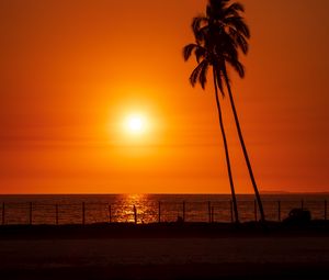 Preview wallpaper sun, sunset, sea, palm trees, landscape