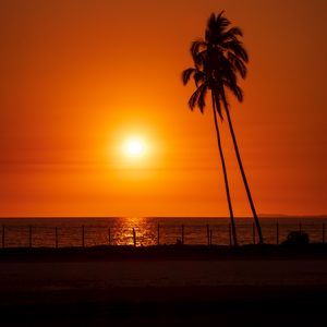 Preview wallpaper sun, sunset, sea, palm trees, landscape
