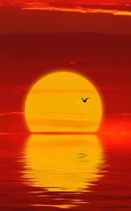 Preview wallpaper sun, sunset, silhouette, bird, red