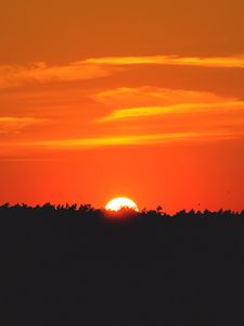 Preview wallpaper sun, sunset, silhouette, forest