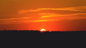 Preview wallpaper sun, sunset, silhouette, forest