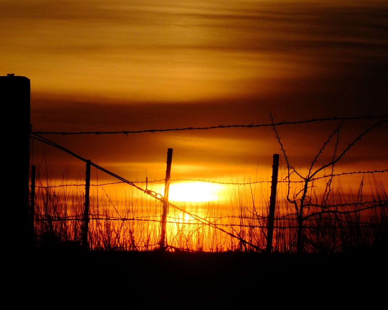 1280x1024 Wallpaper sun, sunset, silhouettes, grass, clouds, sky, dark
