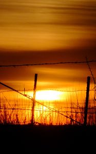 Preview wallpaper sun, sunset, silhouettes, grass, clouds, sky, dark