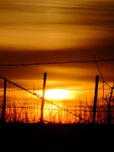 Preview wallpaper sun, sunset, silhouettes, grass, clouds, sky, dark