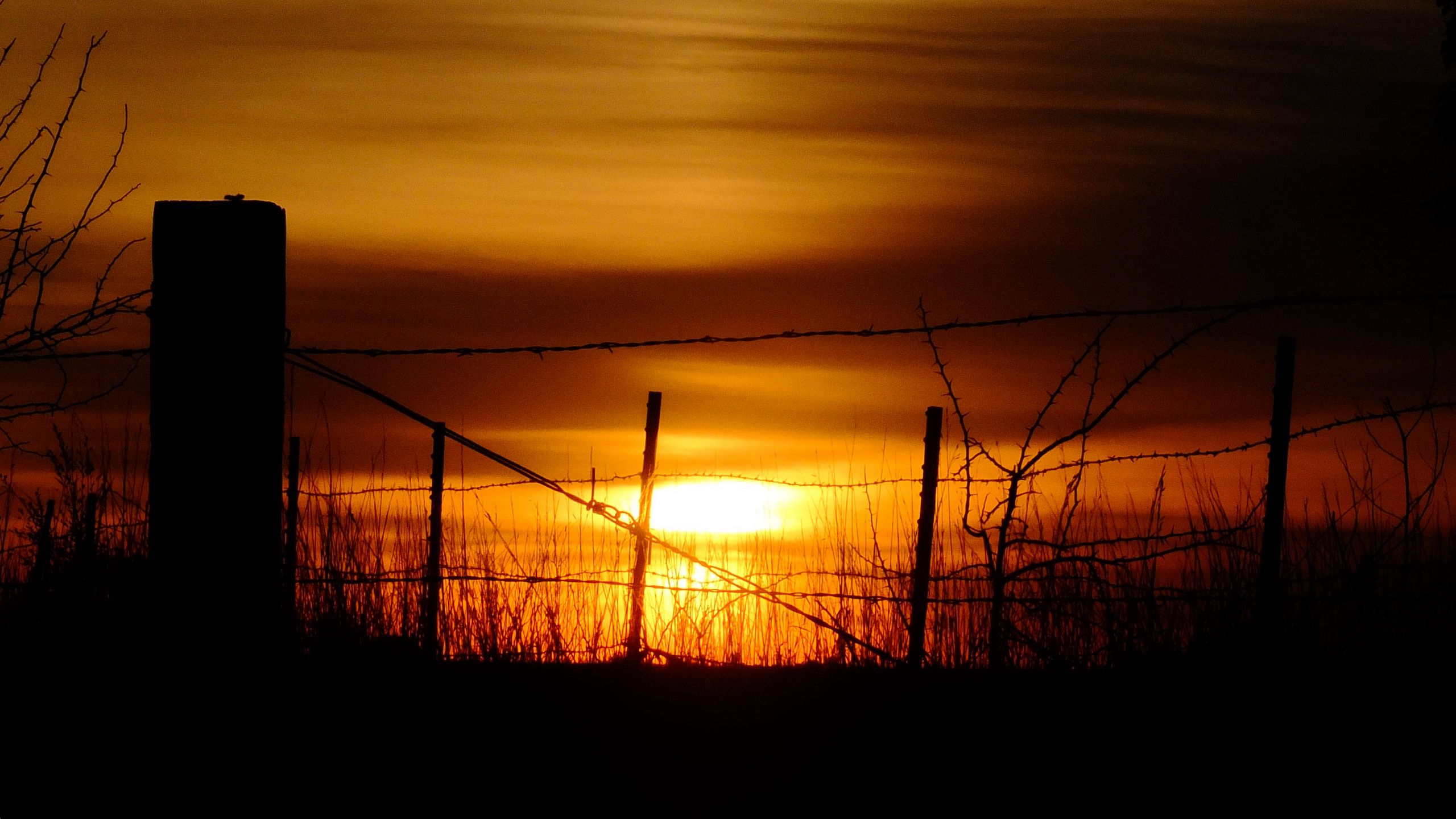 2560x1440 Wallpaper sun, sunset, silhouettes, grass, clouds, sky, dark