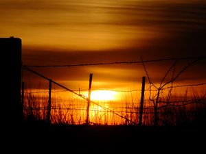 Preview wallpaper sun, sunset, silhouettes, grass, clouds, sky, dark