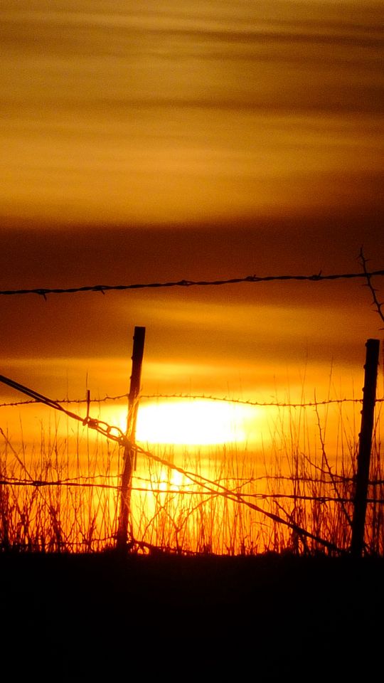 540x960 Wallpaper sun, sunset, silhouettes, grass, clouds, sky, dark