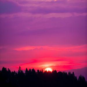 Preview wallpaper sun, sunset, sky, trees