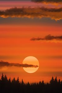 Preview wallpaper sun, sunset, trees, clouds