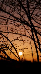Preview wallpaper sun, sunset, trees, branches, dark