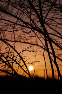 Preview wallpaper sun, sunset, trees, branches, dark