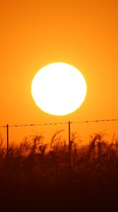 Preview wallpaper sun, sunset, wire, grass, sky