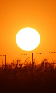 Preview wallpaper sun, sunset, wire, grass, sky